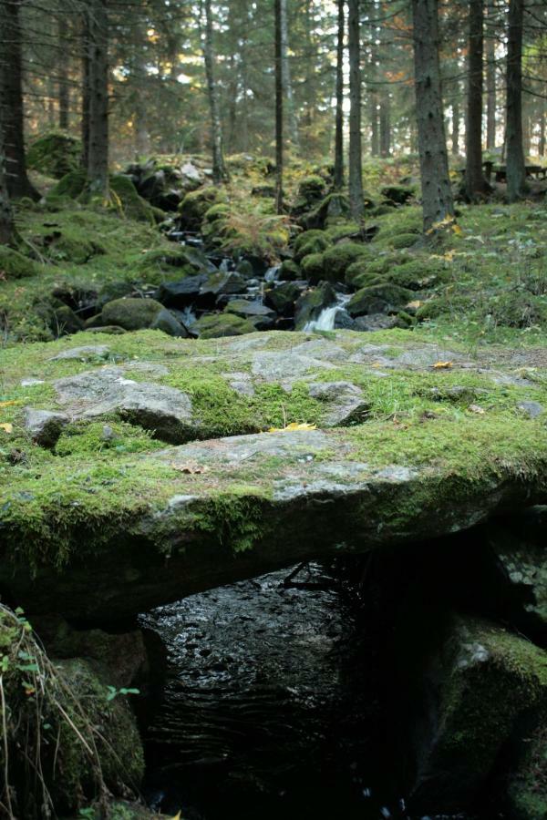 Draengstugan I Humla Blidsberg Buitenkant foto